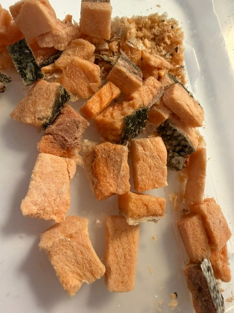 Freeze Dried Raw Salmon